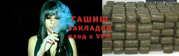 хмурый Магас