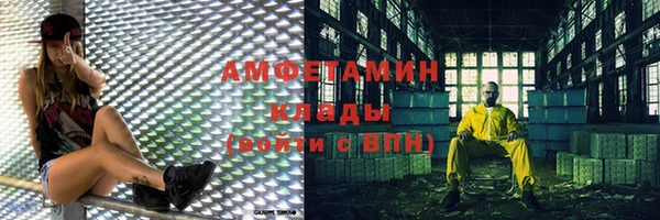 хмурый Магас