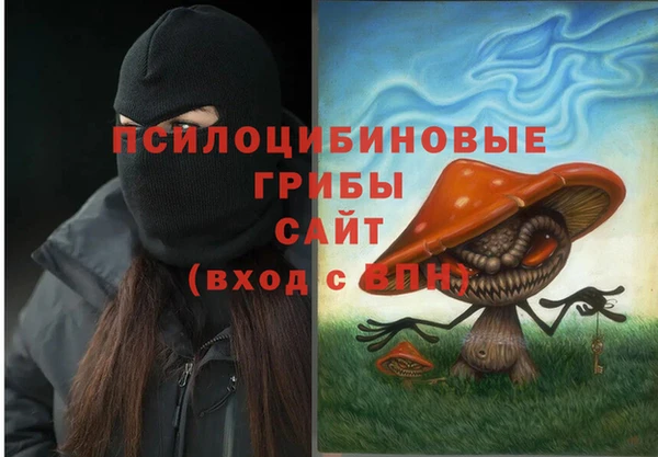 хмурый Магас