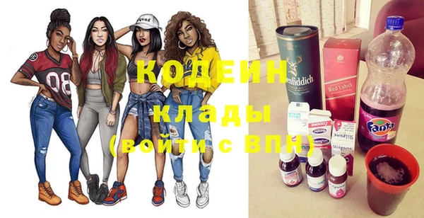 хмурый Магас