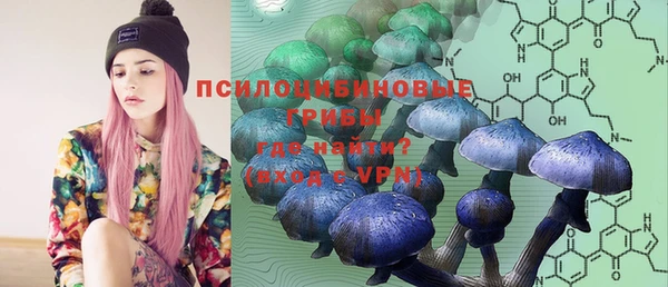 шишки Магадан