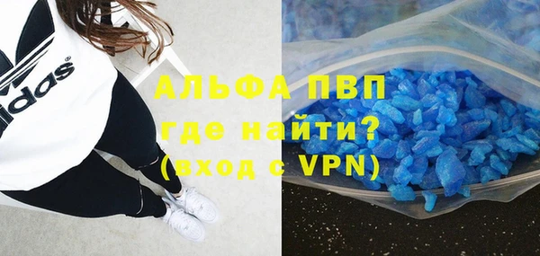 хмурый Магас