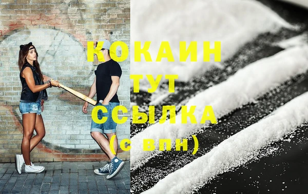 шишки Магадан