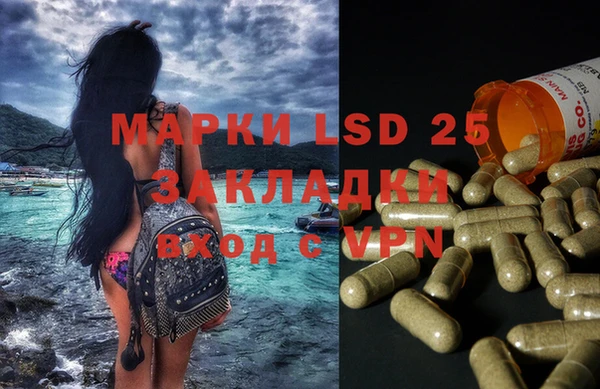 хмурый Магас
