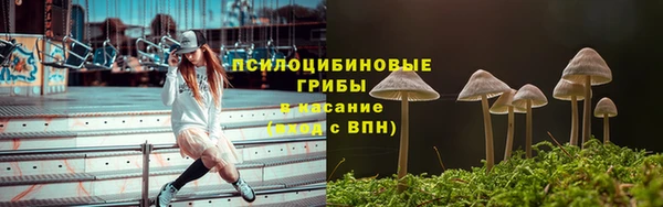 шишки Магадан
